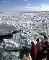 Ice floe watching season begins in Hokkaido